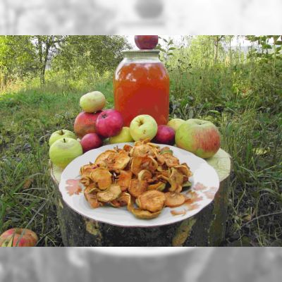 Сок яблочный домашний с горного сада Карпат.