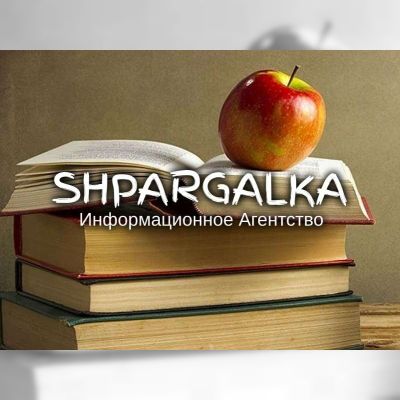 Разработка стартапа для ВКР на заказ в Украине