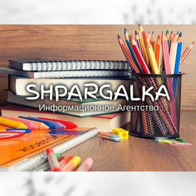 Разработка стартап-проекта для ВКР на заказ в Украине