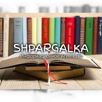 Разработка стартапа для дипломной работы на заказ в Украине