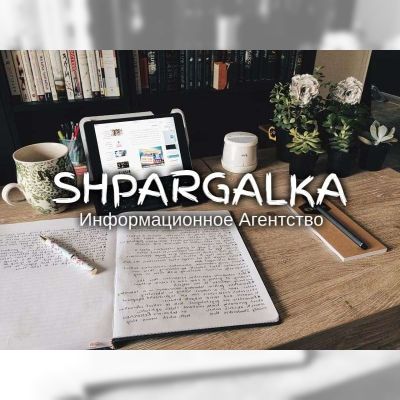 Разработка стартап-проекта для дипломной работы на заказ в Украине