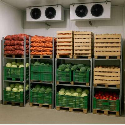 Універсальна холодильна камера для продуктів -10С+10С, морозилка