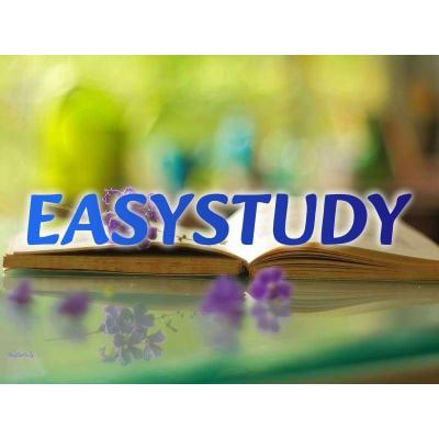 Замовити розробку стартапу до ВКР в Україні