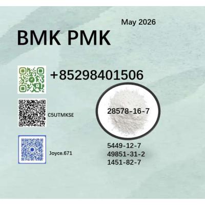 CAS 28578-16-7 BMK CAS 5449-12-7 best price for 49851-31-2 /1451-82-7 factory supply