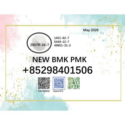 Hot sale cas 28578-16-7 BMK oil cas 5449-12-7 PMK powder manufacturer